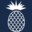 91bookhillroad.com favicon